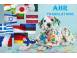 Ahr translations este o agen ie profesionista cu sediul in romani contabilitate traduceri 930347 poza 4